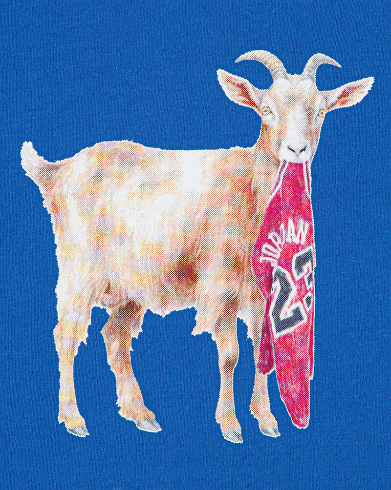 Jordan Big Kids' Goat Tee 95F314-BB7 Blue 2