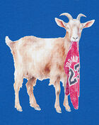 Jordan Big Kids' Goat Tee 95F314-BB7 Blue 2