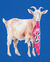 Big Kids' Goat Tee