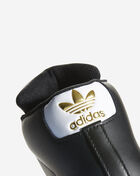 Pro Model