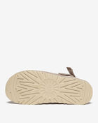 Goldenstar Clog