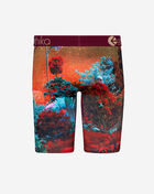 Grade School Forest Tiger Briefs
