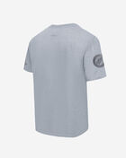 Detroit Red Wings Neutral Drop Shoulder Tee