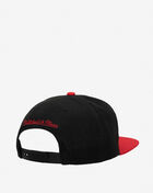 Detroit Pistons Core Basics Snapback