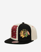 Chicago Blackhawks Pop Panel Snapback Hat