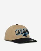Carolina Panthers City Line Hitch Snapback Hat