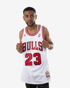 Chicago Bulls Michael Jordan 1995-1996 Authentic Jersey 