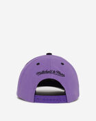 Toronto Raptors Crown Jewels Pro Snapback Hat