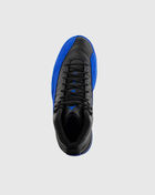 Retro Air Jordan 12