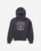 adidas Kids' Varsity Fleece Hoodie  OA03111-AK28-019 Black 1