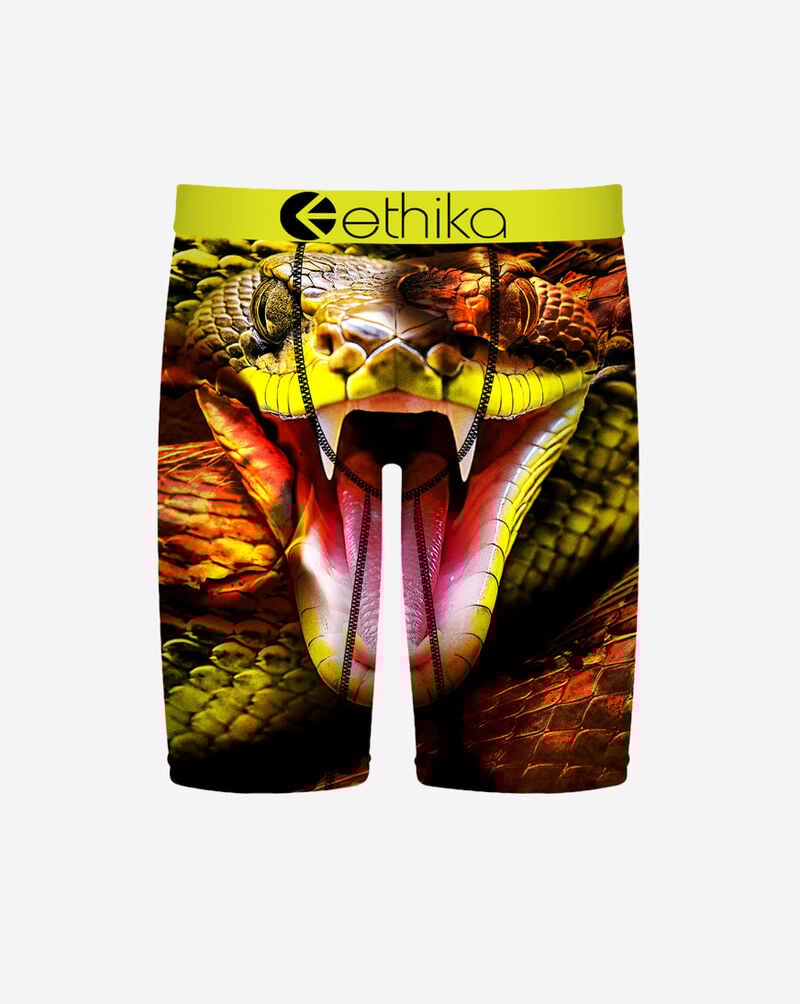 Ethika Grade School Bite Back Briefs BFAAAI2509 Multi 1