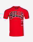 PRO STANDARD Chicago Bulls Retro Classic Striped Tee BCB156010-RBK Red 1