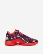Big Kids' LeBron XXII SE