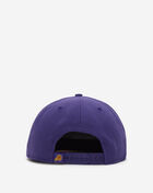9Fifty Phoenix Suns Team Shadow Hat