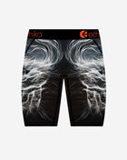 Ethika Grade School Lion Strike Briefs BLST3619 Multi 3
