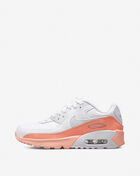 Grade School Air Max 90 LTR SE