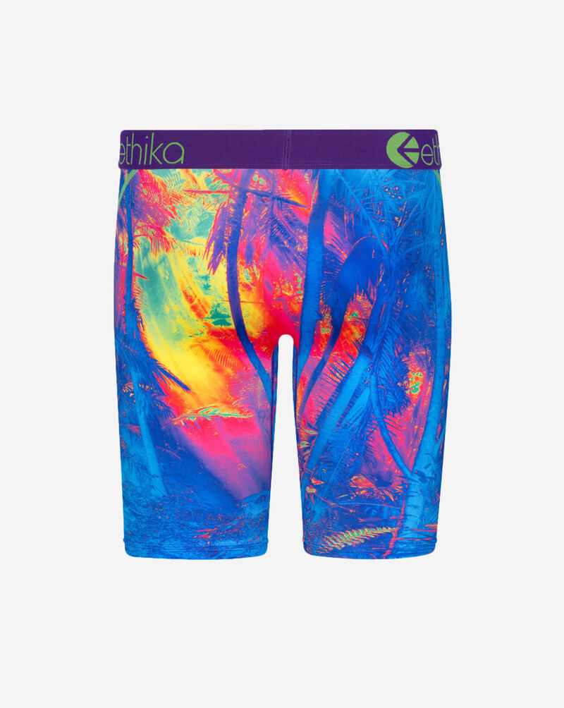 Ethika Jagwa Briefs MLUS2928 Multi 3