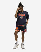 Detroit Tigers Area Code Tee