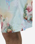 Essentials Printed Mesh Shorts