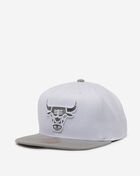 Chicago Bulls Cool Grey 7 Snapback