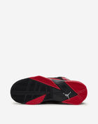 Jordan True Flight CU4934-001  6