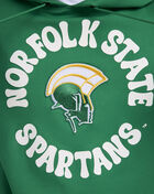 PRO STANDARD Norfolk State University Retro Waves Hoodie CNS571209-KGR Green 3