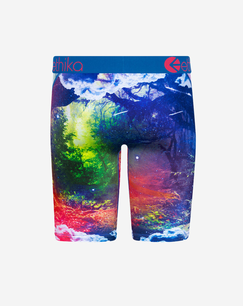 Ethika Grade School Jungle Dreams Briefs BLST2497 Multi 3