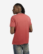 Polo Ralph Lauren Big Pony T-Shirt 710964482003-RED Red 2