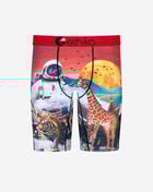 Astro Zoo Briefs