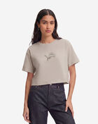 PRO STANDARD Detroit Lions Wingspan Boxy Tee FDLA410517-TAU Beige 1