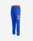 Michigan State University Homecoming Sweatpants