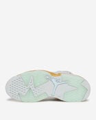 Air Jordan 6 Retro
