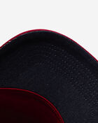 Tiger Skull Hat