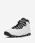 Air Jordan 10 Retro