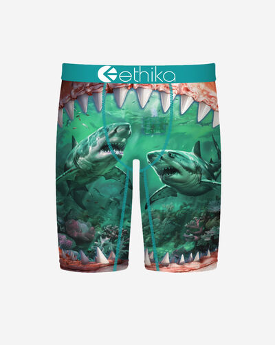 Food Chain Briefs