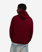 Polo Ralph Lauren The RL Fleece Plaid-Logo Hoodie 710981771005-RED Red 2