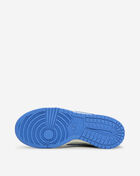 Big Kids' Dunk Low