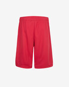 Boys' Jordan Vertical Mesh Shorts