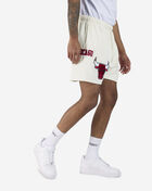Chicago Bulls Area Code Mesh Shorts