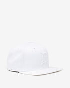 9Fifty Detroit Tigers Snapback Hat