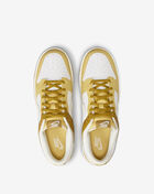 Nike Dunk Low Retro FZ4042-716 Brown 5