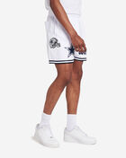 Dallas Cowboys Mesh Shorts 