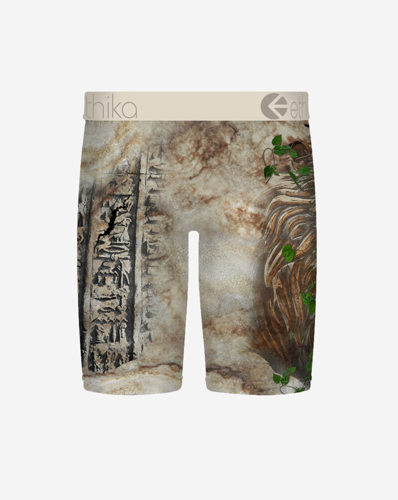 Ethika BMR In Stone Briefs MFAAAI2601 Multi 3