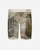 Ethika BMR In Stone Briefs MFAAAI2601 Multi 3