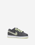 Little Kids' Dunk Low