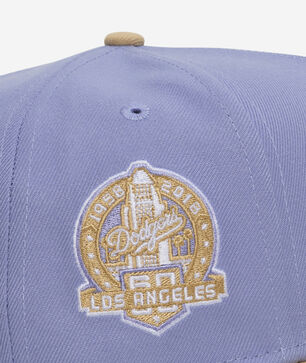 9Fifty Los Angeles Dodgers A-Frame Snapback Hat