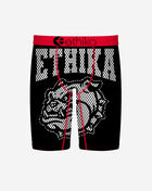 Ethika G.C.H Briefs  BFAAAH2506 Multi 1