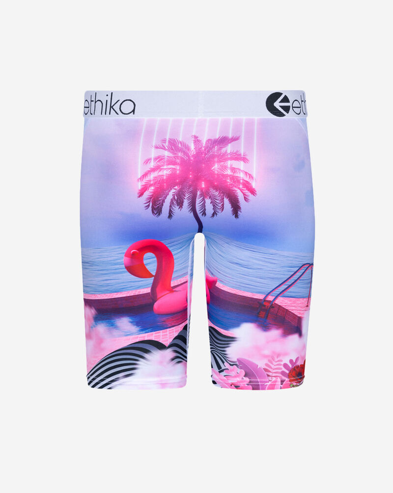 Ethika Grade School On Holiday Briefs BLST2521 Multi 3