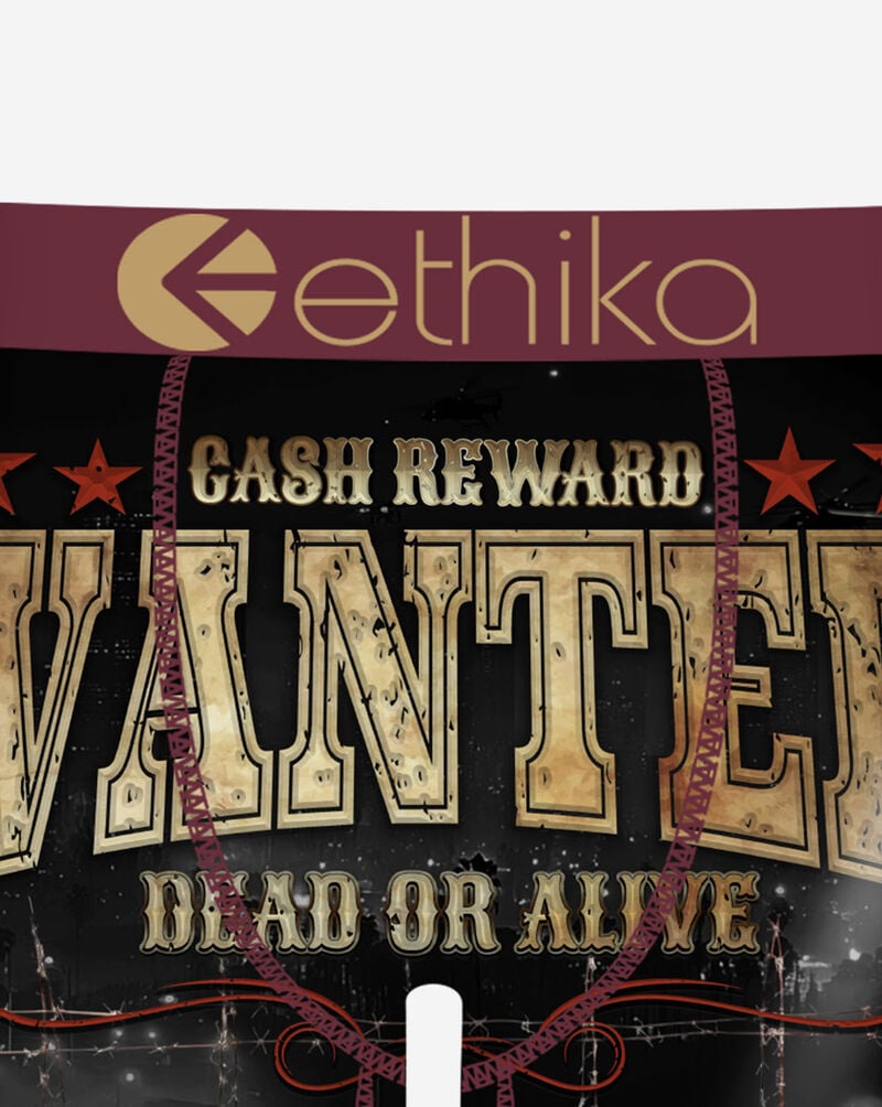 Ethika Onsite Briefs MFAAAI2505 Multi 2