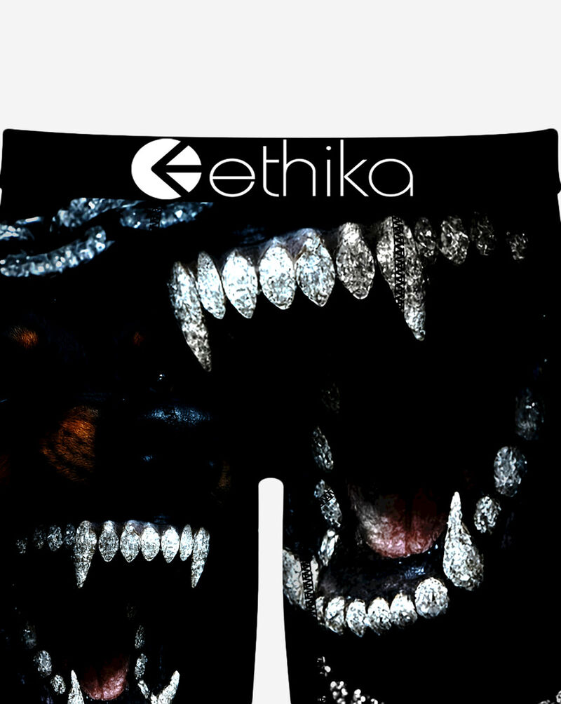 Ethika Sic Em Briefs MFAAAI2611 Multi 2